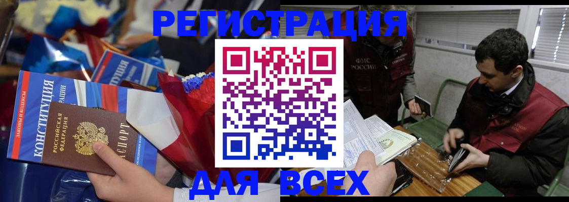 форма 3 в Сольцах